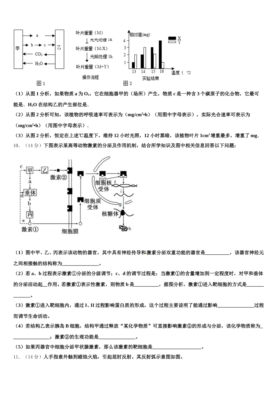2025年宁夏银川市兴庆区一中高一生物第二学期期末质量检测模拟试题含解析_第3页