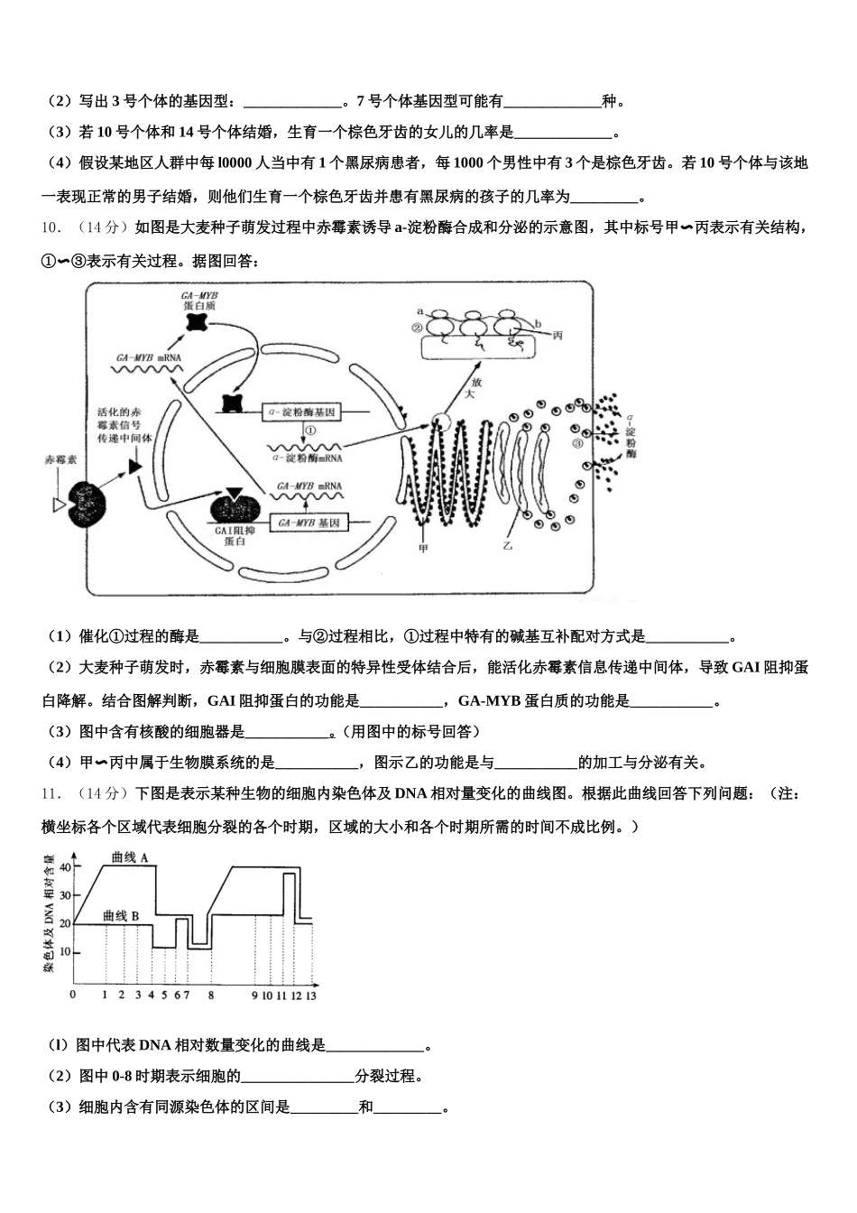2024-2025学年宁夏中卫市第一中学高一生物第二学期期末检测试题含解析_第3页
