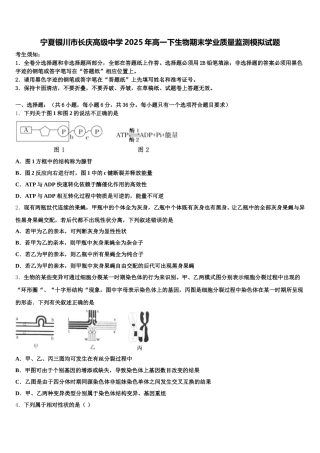 宁夏银川市长庆高级中学2025年高一下生物期末学业质量监测模拟试题含解析