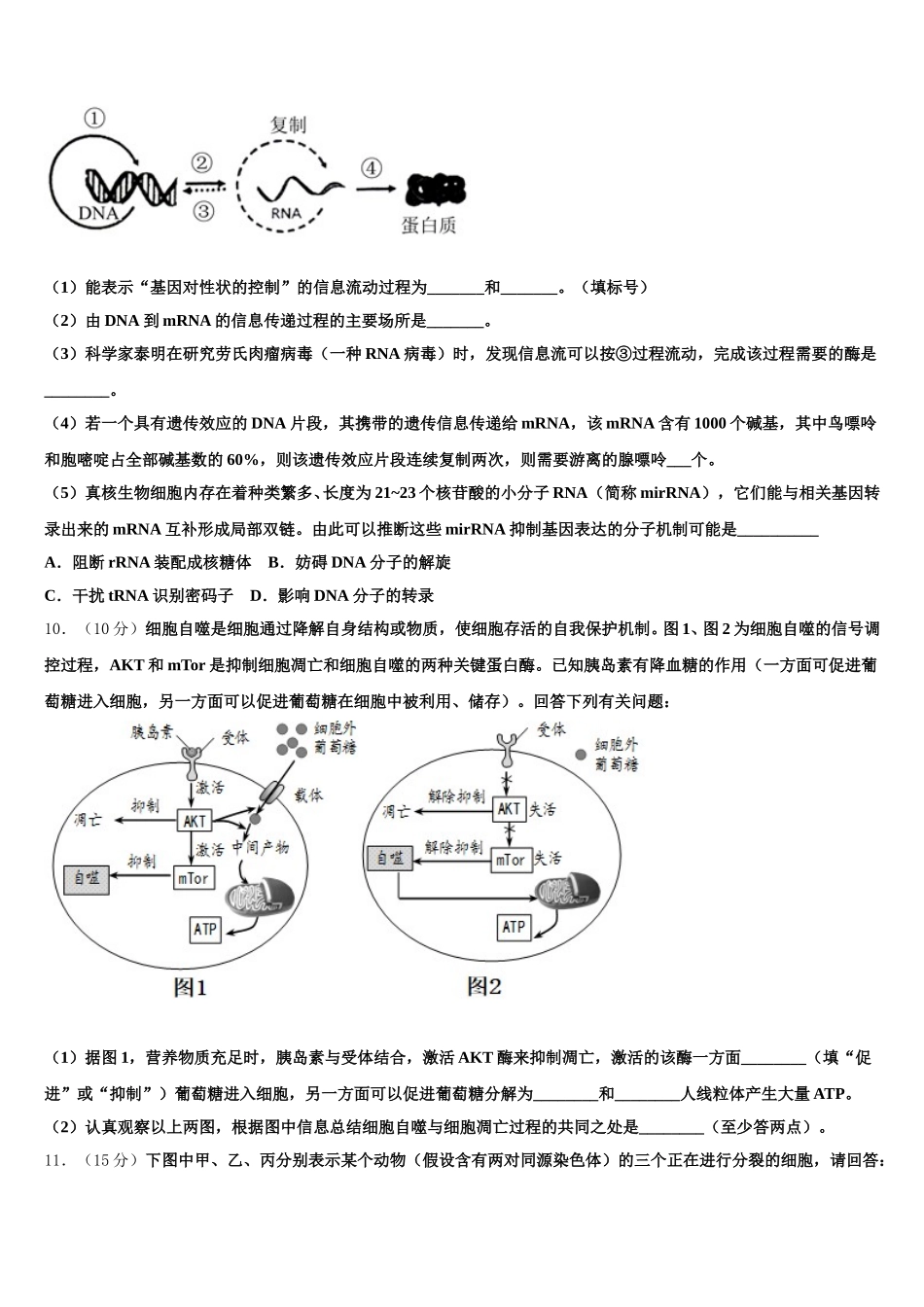 宁夏大学附中2025届高一下生物期末学业水平测试模拟试题含解析_第3页