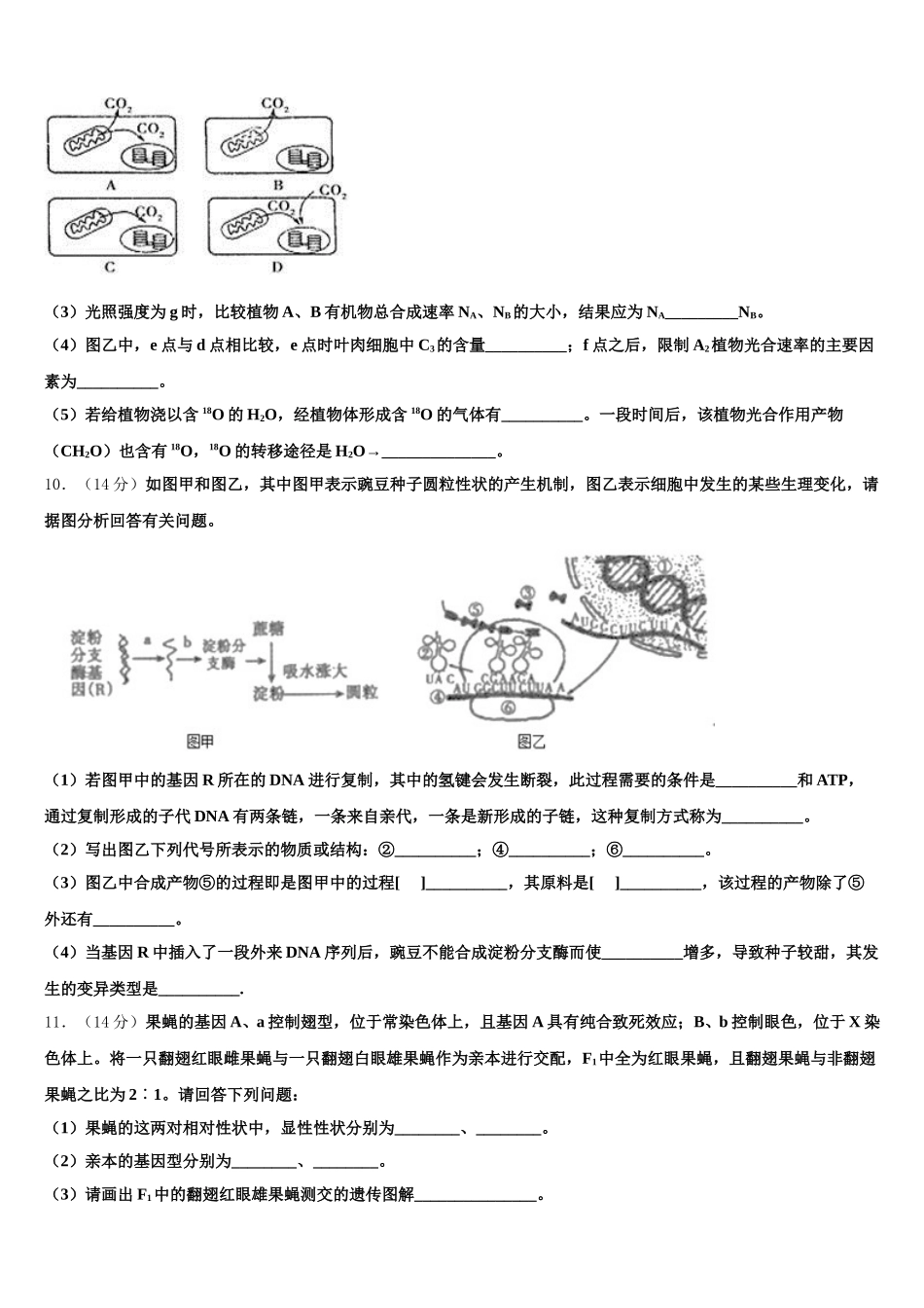 宁夏长庆高级中学2025届生物高一下期末质量检测模拟试题含解析_第3页