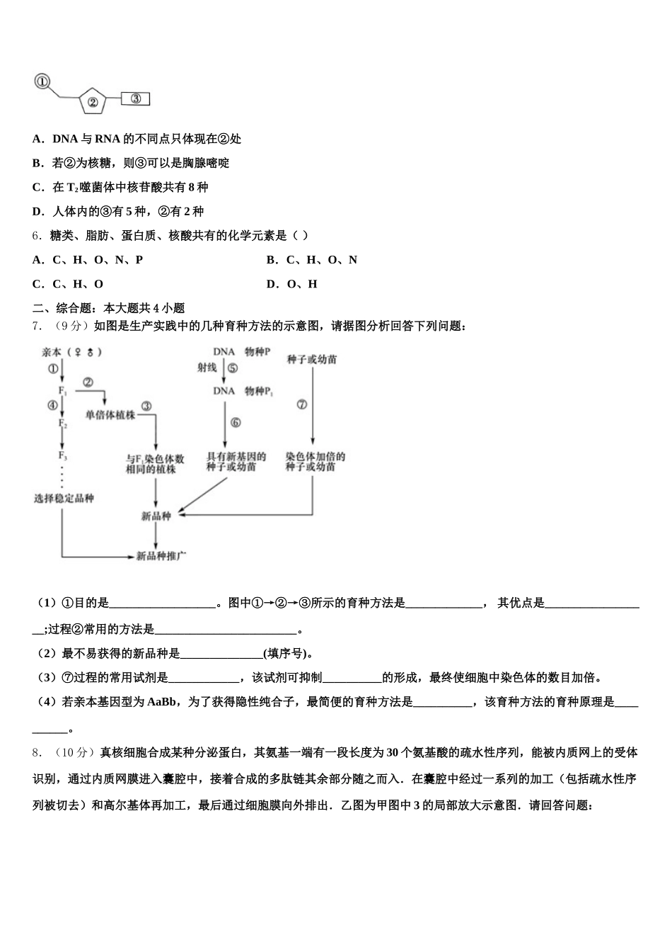 2024-2025学年宁夏银川二十四中生物高一第二学期期末质量跟踪监视试题含解析_第2页