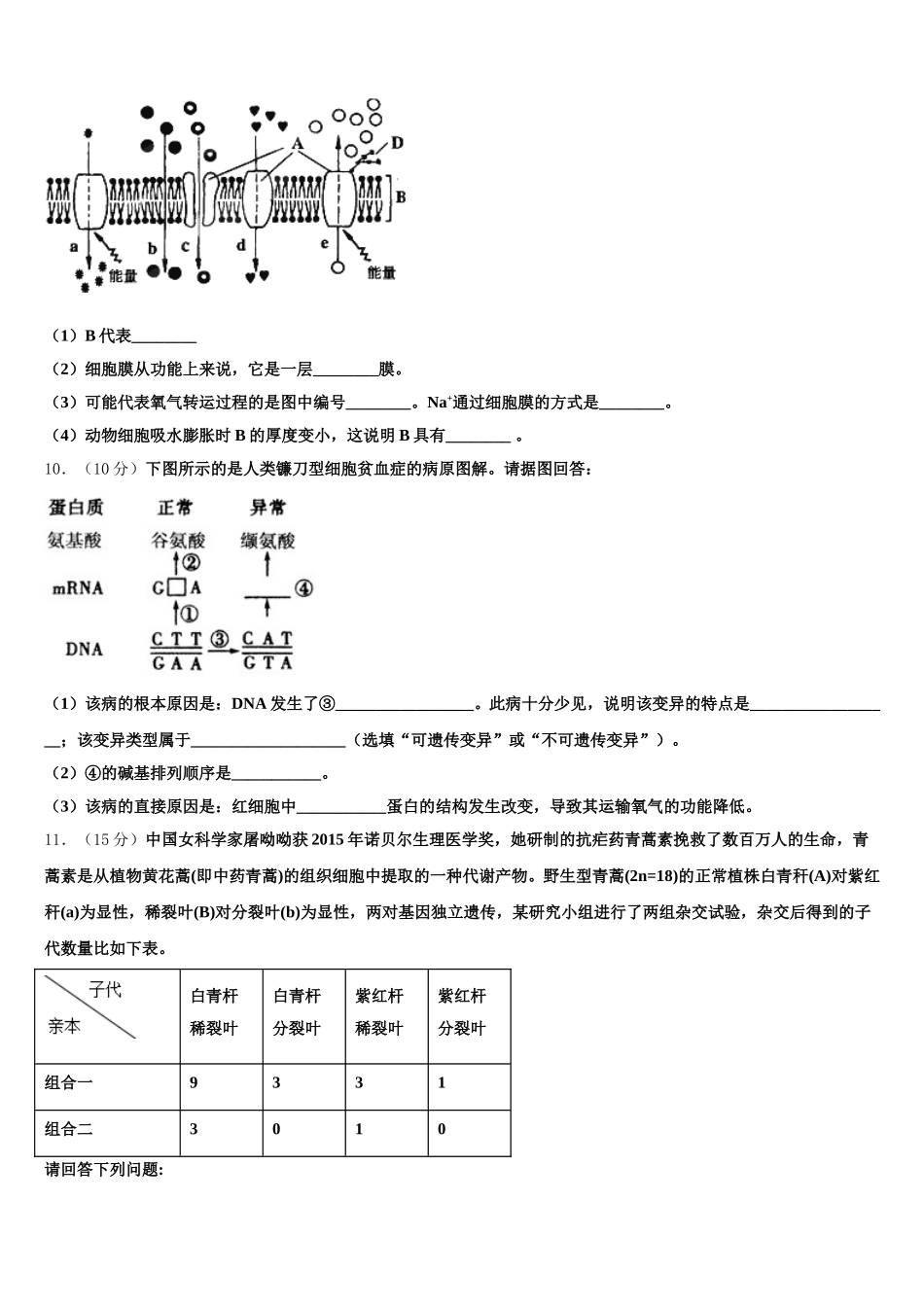 2025届宁夏银川市育才中学勤行校区高一下生物期末学业质量监测试题含解析_第3页