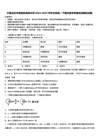宁夏吴忠市青铜峡高级中学2024-2025学年生物高一下期末教学质量检测模拟试题含解析