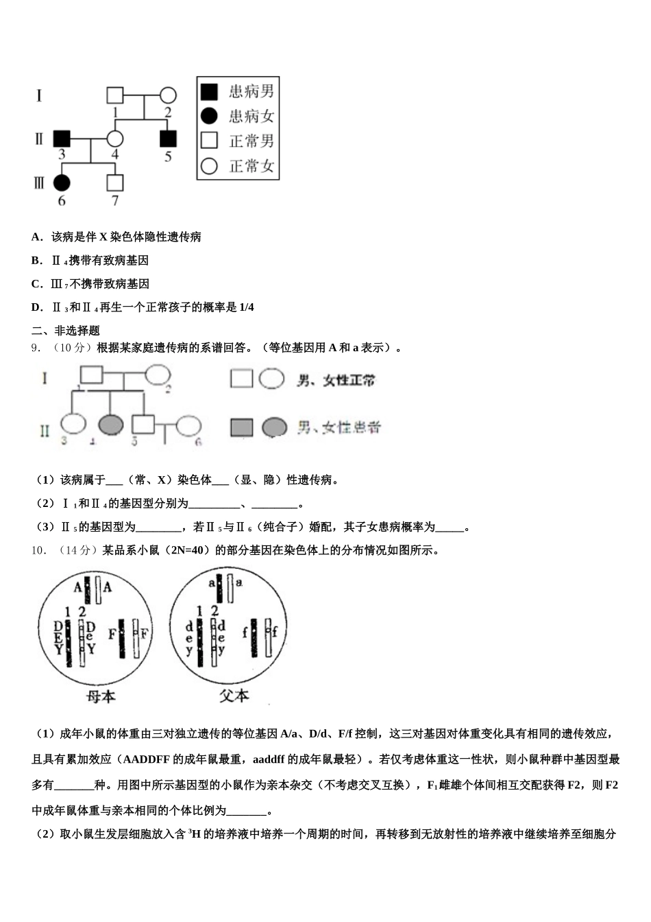 宁夏省石嘴山市2024-2025学年高一下生物期末质量跟踪监视试题含解析_第2页