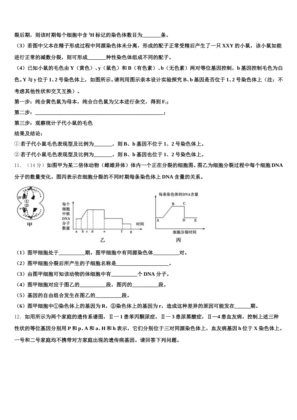 宁夏省石嘴山市2024-2025学年高一下生物期末质量跟踪监视试题含解析_第3页