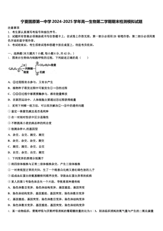 宁夏固原第一中学2024-2025学年高一生物第二学期期末检测模拟试题含解析