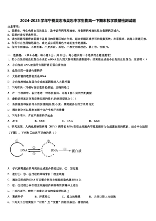 2024-2025学年宁夏吴忠市吴忠中学生物高一下期末教学质量检测试题含解析