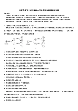 宁夏省中卫2025届高一下生物期末检测模拟试题含解析