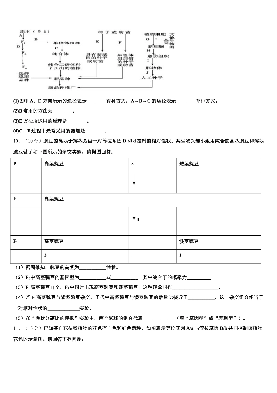 2025年宁夏银川市兴庆区长庆高中高一下生物期末检测试题含解析_第3页