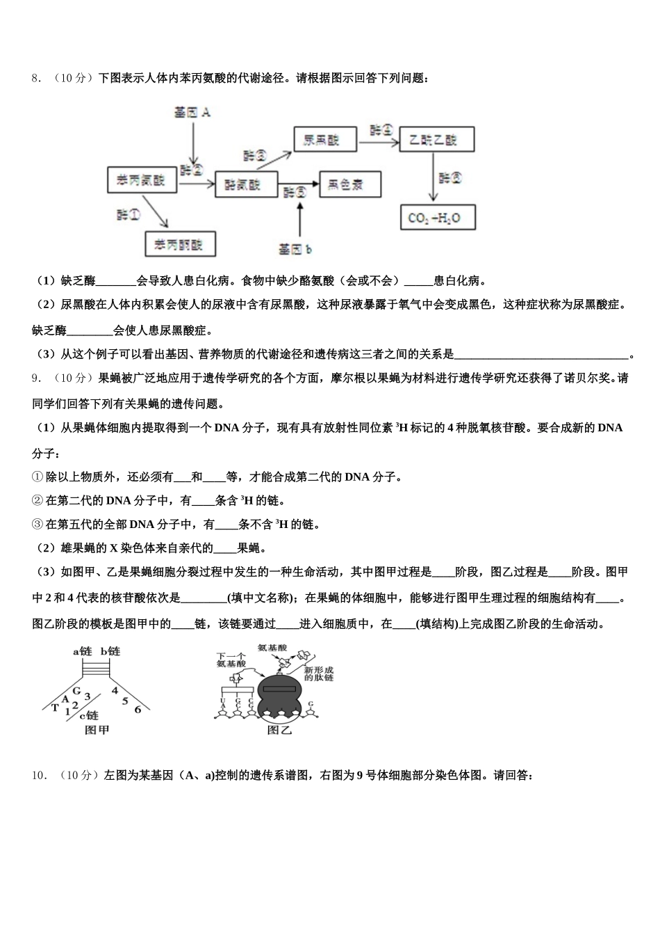 吴忠高级中学2024-2025学年高一下生物期末质量检测模拟试题含解析_第3页