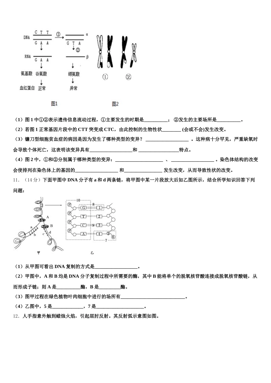 2025年宁夏育才中学孔德学区高一下生物期末联考试题含解析_第3页