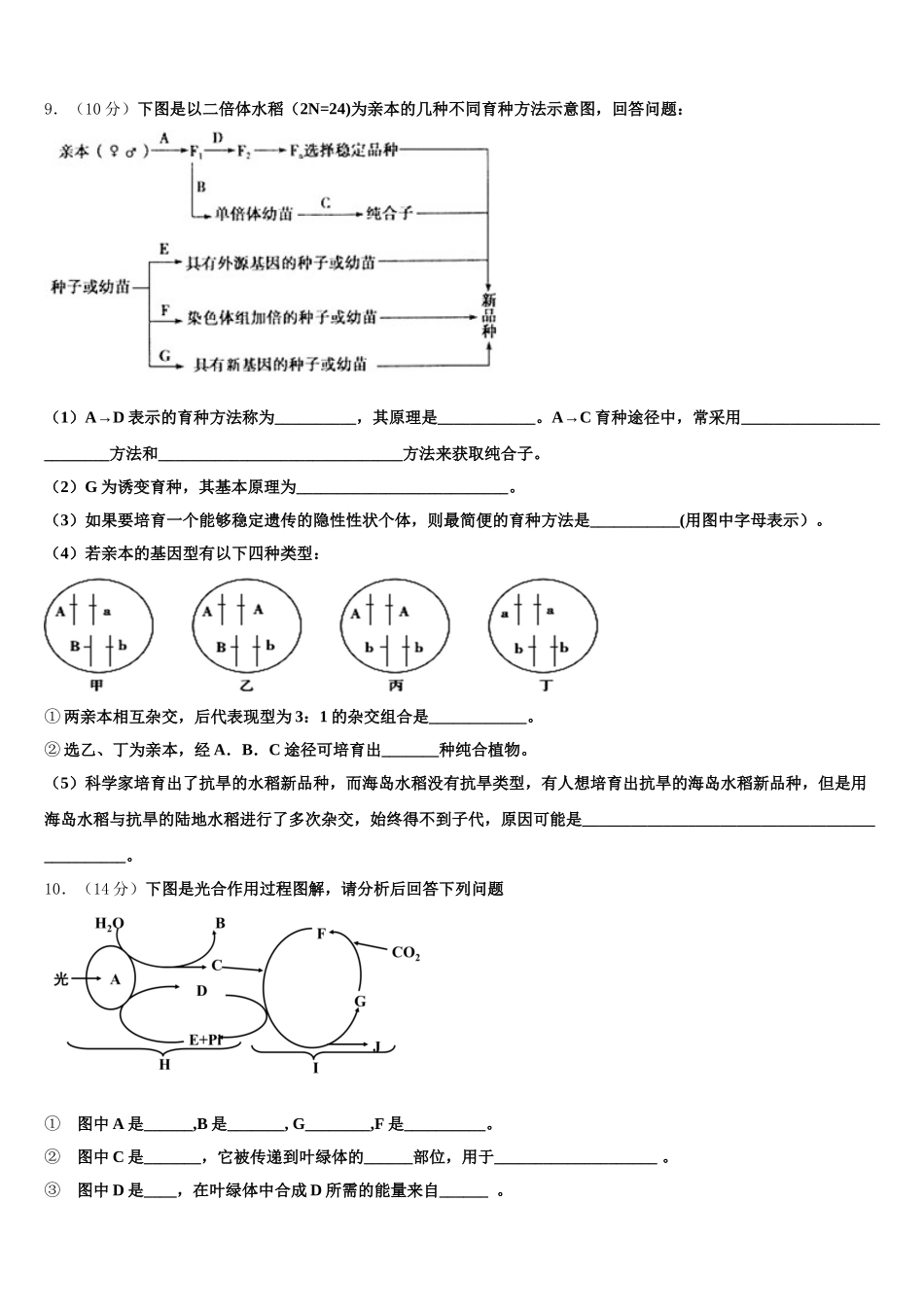 2025年宁夏银川一中高一下生物期末质量检测模拟试题含解析_第3页