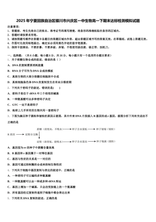2025年宁夏回族自治区银川市兴庆区一中生物高一下期末达标检测模拟试题含解析