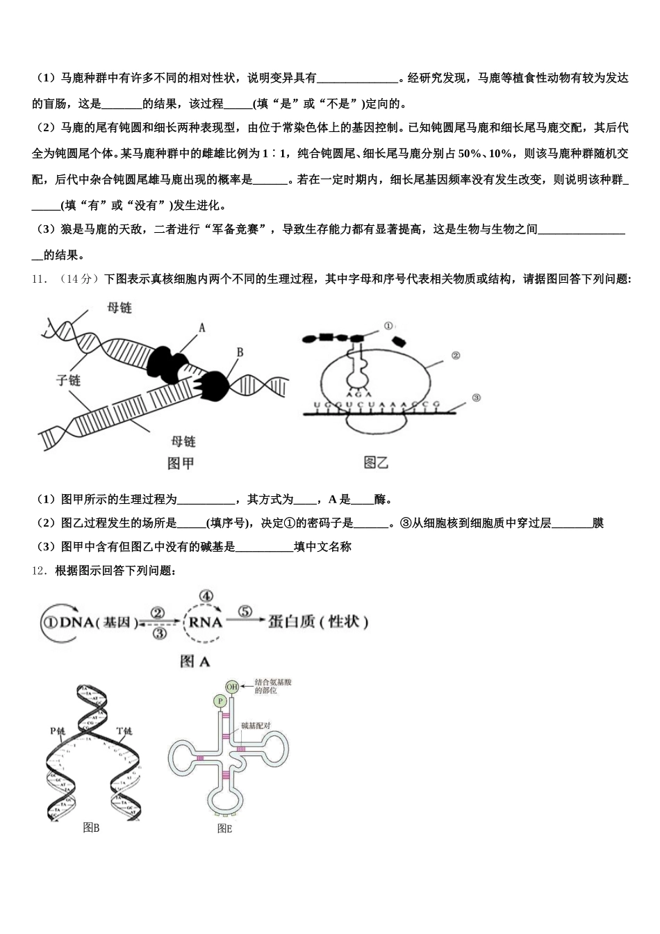 2024-2025学年石嘴山市重点中学生物高一下期末学业质量监测模拟试题含解析_第3页
