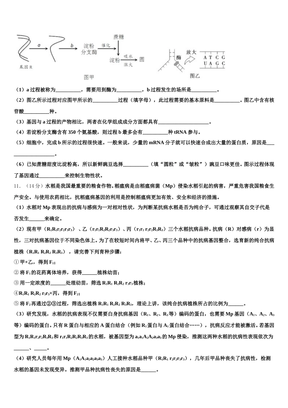 2025届宁夏银川市六盘山高级中学生物高一第二学期期末质量跟踪监视试题含解析_第3页