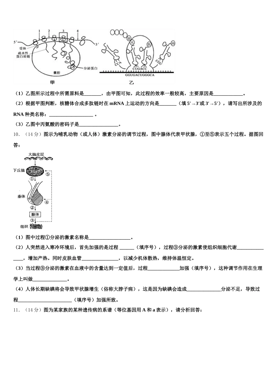 宁夏银川市兴庆区长庆高中2025届生物高一下期末经典模拟试题含解析_第3页