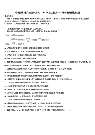 宁夏银川市兴庆区长庆高中2025届生物高一下期末经典模拟试题含解析