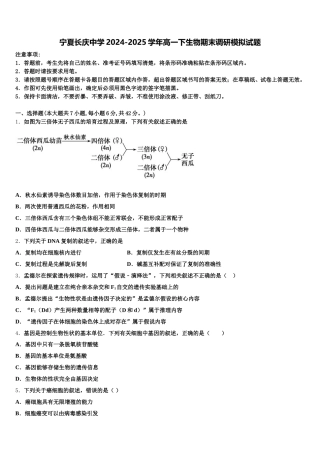 宁夏长庆中学2024-2025学年高一下生物期末调研模拟试题含解析