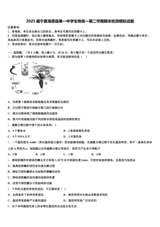 2025届宁夏海原县第一中学生物高一第二学期期末检测模拟试题含解析