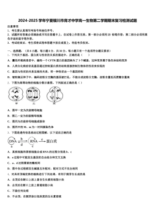 2024-2025学年宁夏银川市育才中学高一生物第二学期期末复习检测试题含解析