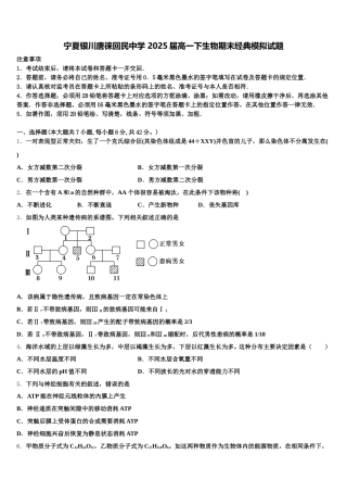 宁夏银川唐徕回民中学 2025届高一下生物期末经典模拟试题含解析