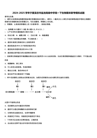 2024-2025学年宁夏吴忠市盐池高级中学高一下生物期末联考模拟试题含解析