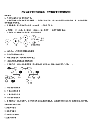 2025年宁夏长庆中学高一下生物期末统考模拟试题含解析