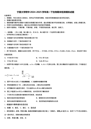 宁夏大学附中2024-2025学年高一下生物期末检测模拟试题含解析