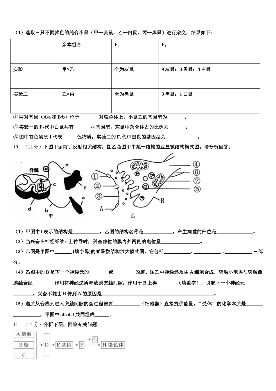 2025届宁夏银川市西夏区育才中学生物高一第二学期期末学业质量监测试题含解析_第3页