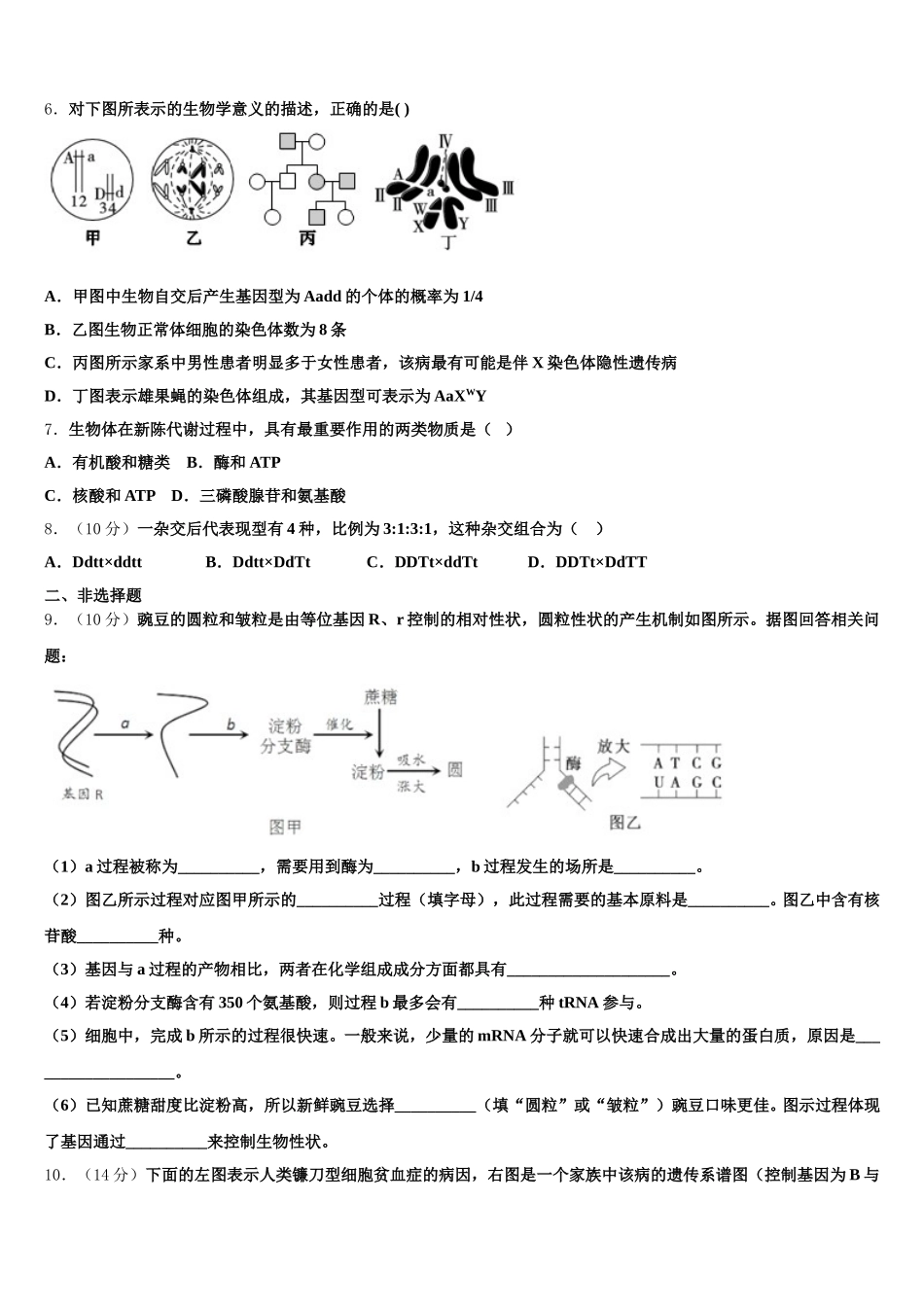 2025届宁夏吴忠市生物高一第二学期期末经典试题含解析_第2页