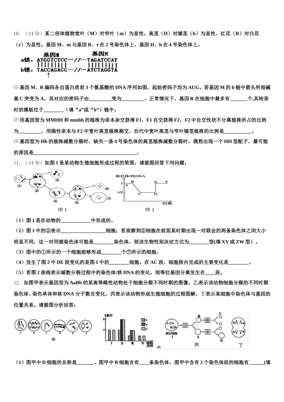 宁夏银川市育才中学勤行学区2025届生物高一下期末综合测试试题含解析_第3页