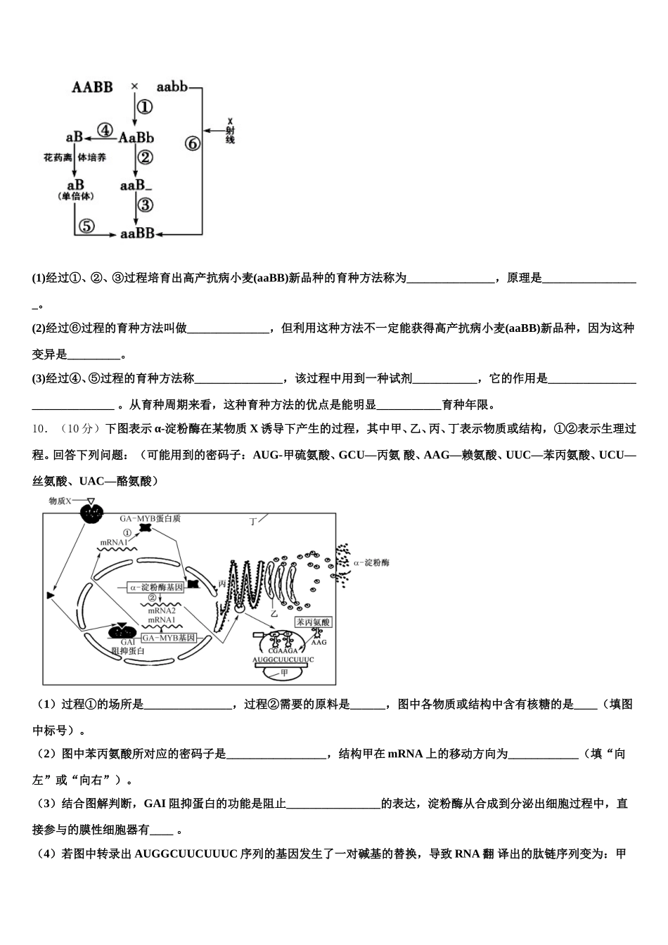 宁夏银川市育才中学勤行学区2024-2025学年高一生物第二学期期末联考试题含解析_第3页