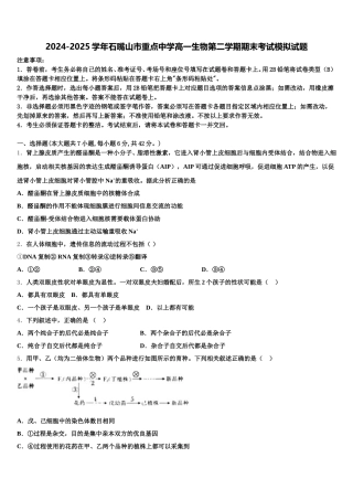 2024-2025学年石嘴山市重点中学高一生物第二学期期末考试模拟试题含解析