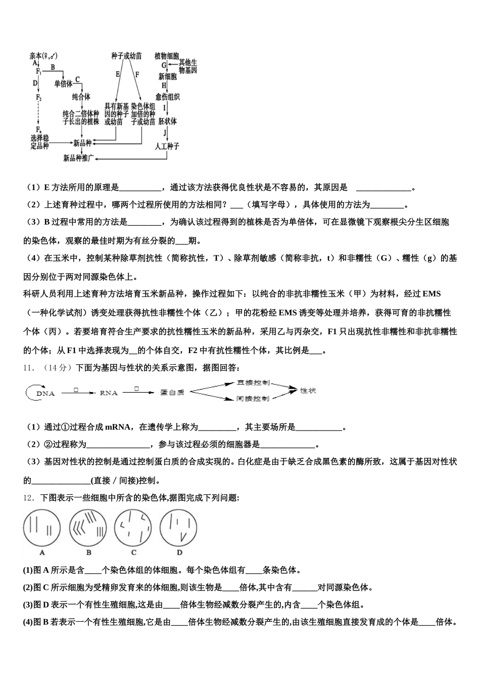 宁夏银川市长庆高级中学2025年高一生物第二学期期末检测试题含解析_第3页