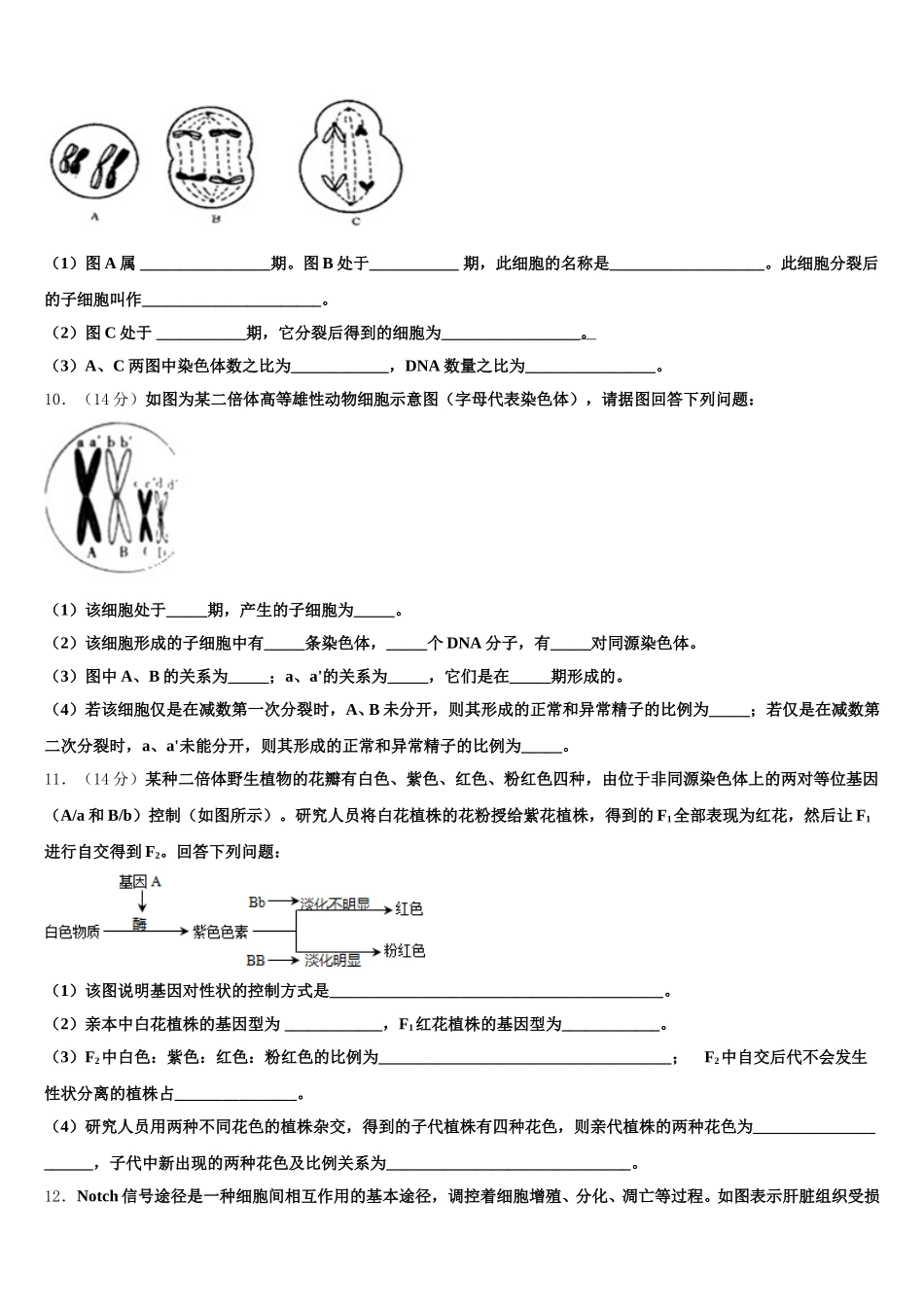2025届宁夏平罗中学生物高一第二学期期末检测试题含解析_第3页