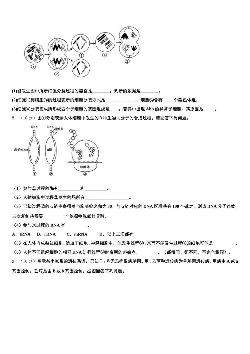 2025届宁夏省银川市重点中学生物高一下期末教学质量检测模拟试题含解析_第3页