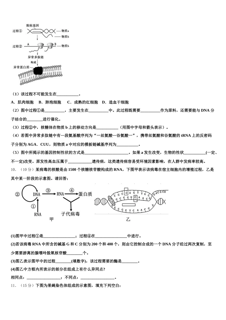 2024-2025学年宁夏石嘴山一中生物高一下期末检测试题含解析_第3页