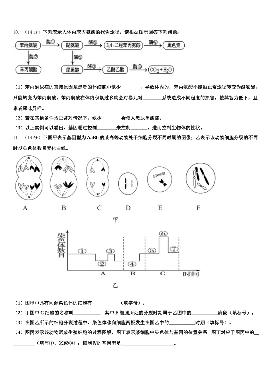宁夏青吴忠市铜峡高级中学2024-2025学年高一下生物期末预测试题含解析_第3页