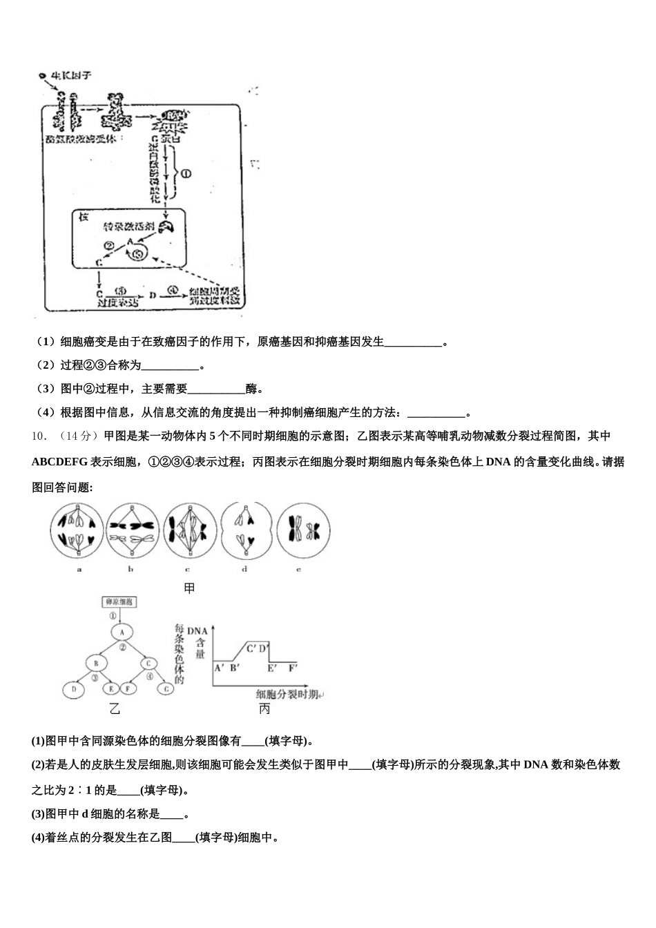 宁夏石嘴山第一中学2025届生物高一下期末统考试题含解析_第3页