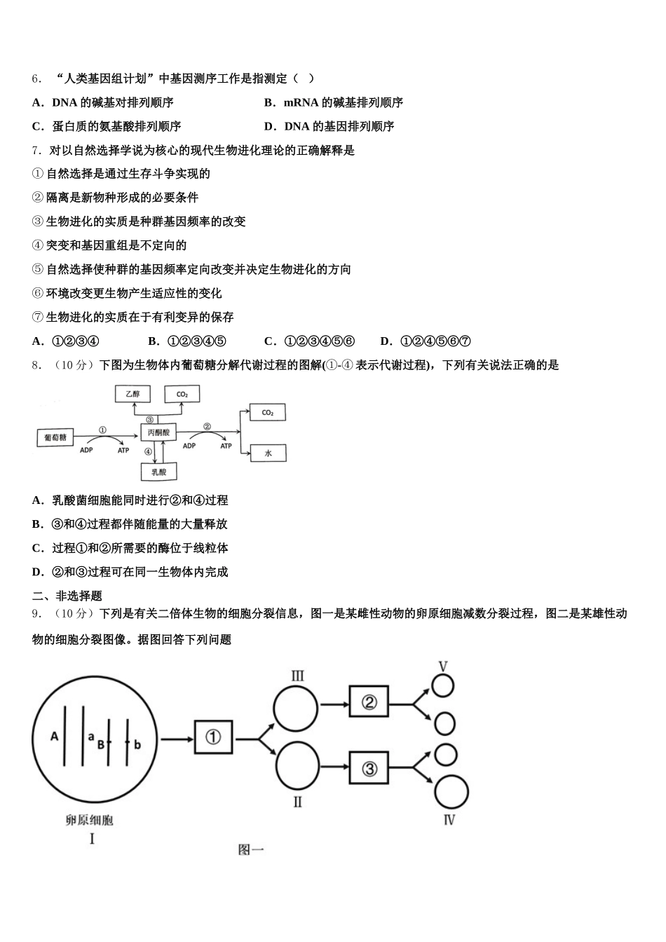 2025届中卫市第一中学高一下生物期末复习检测试题含解析_第2页
