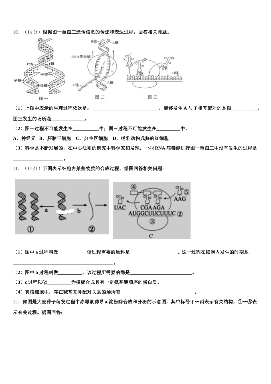 宁夏自治区育才中学2025届生物高一下期末学业质量监测试题含解析_第3页