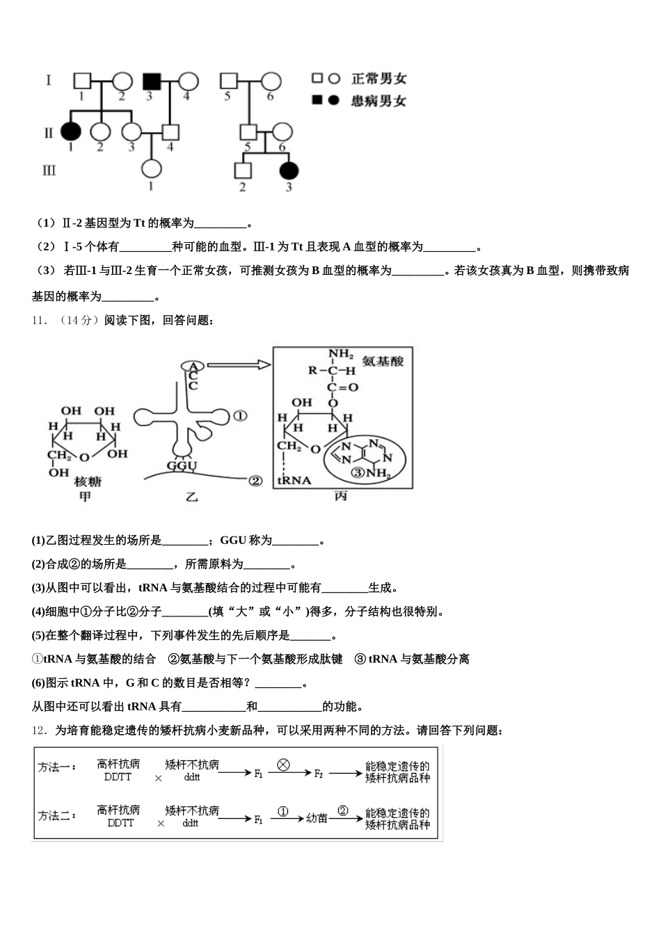 2025届宁夏银川市第一中学高一生物第二学期期末质量检测模拟试题含解析_第3页