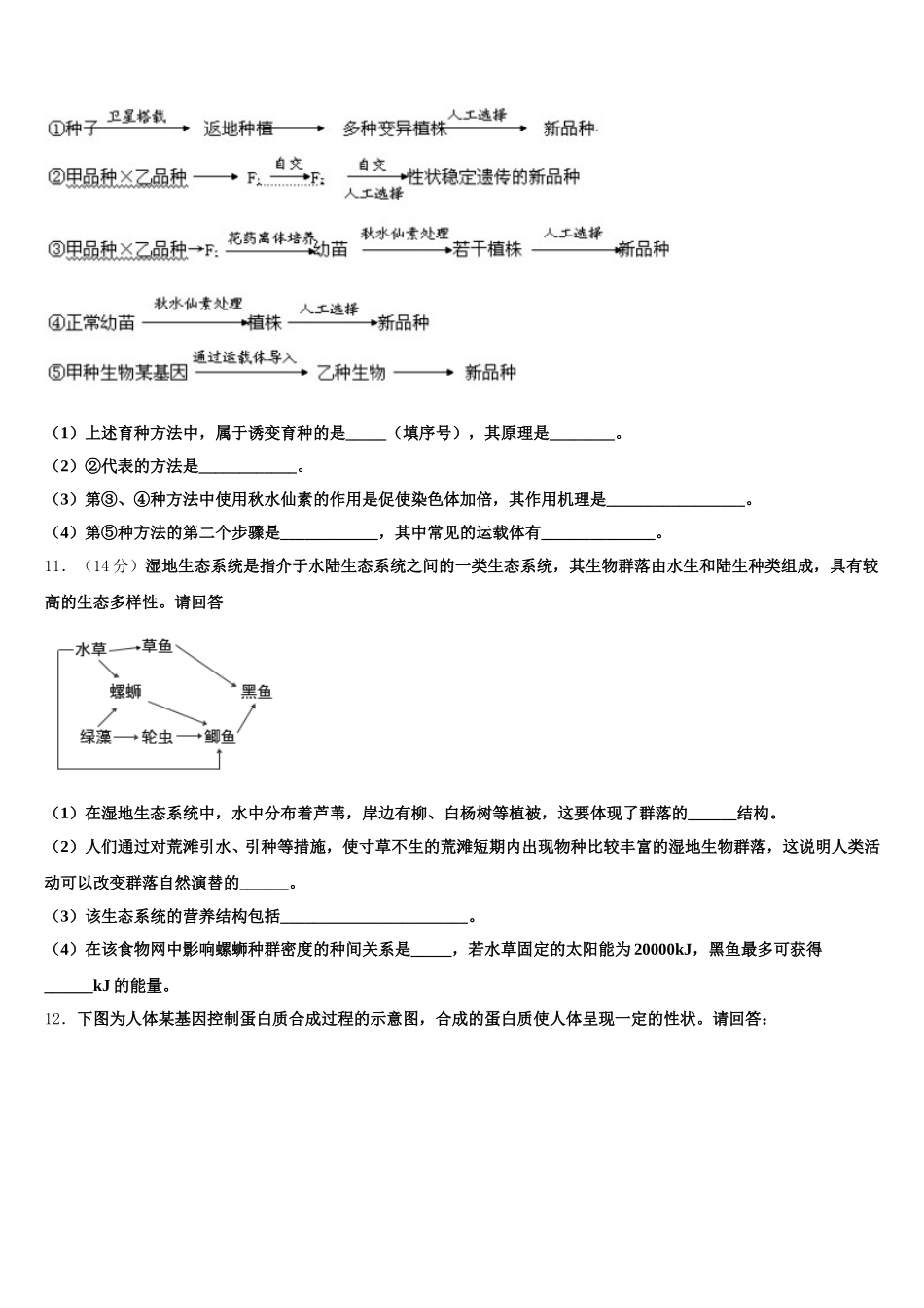 宁夏吴忠市青铜峡高中2024-2025学年生物高一第二学期期末考试模拟试题含解析_第3页