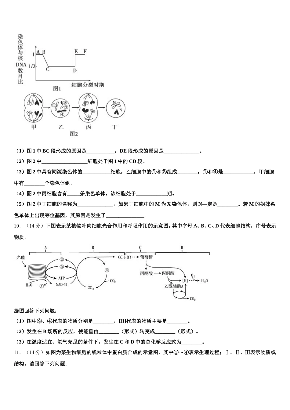 2025年吴忠高级中学高一生物第二学期期末综合测试试题含解析_第3页