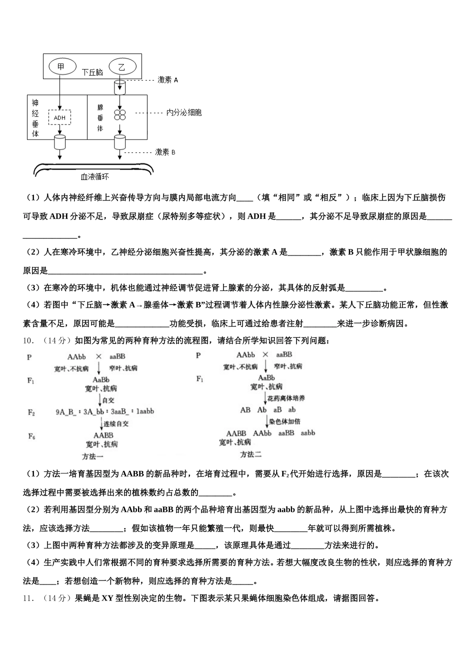 宁夏育才中学学益校区2024-2025学年高一生物第二学期期末达标检测试题含解析_第3页