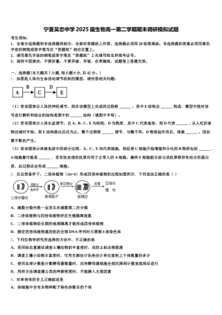宁夏吴忠中学2025届生物高一第二学期期末调研模拟试题含解析