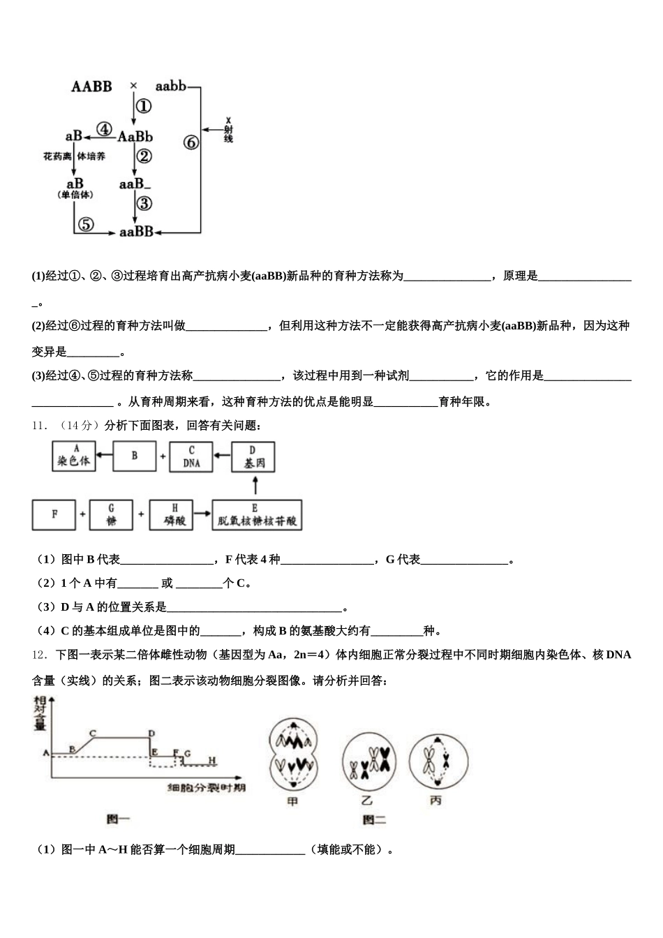 宁夏银川市西夏区育才中学2024-2025学年高一下生物期末质量检测模拟试题含解析_第3页