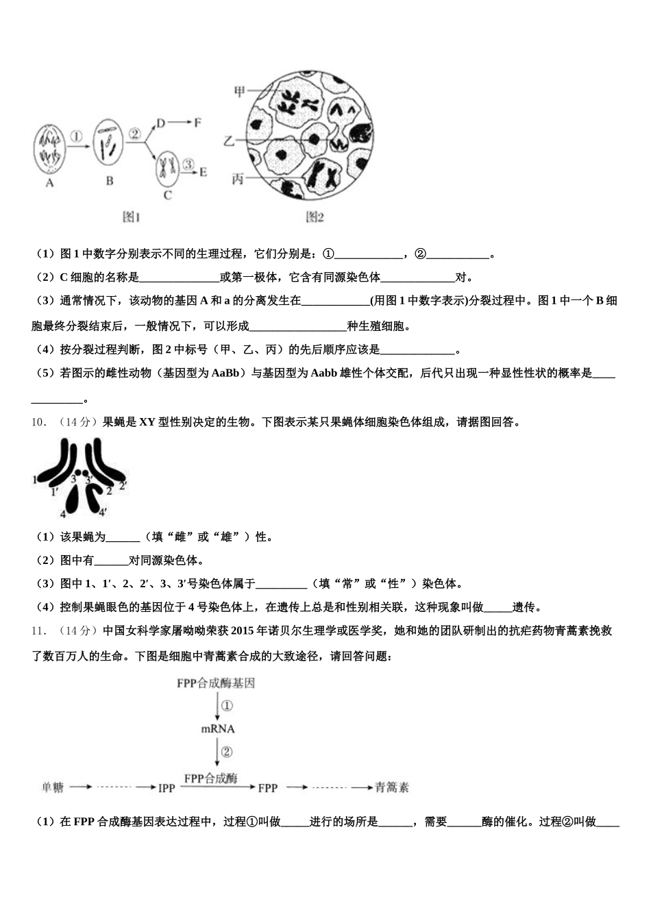 2025年银川市重点中学生物高一下期末达标检测试题含解析_第3页