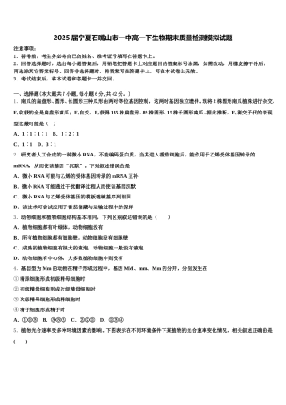 2025届宁夏石嘴山市一中高一下生物期末质量检测模拟试题含解析